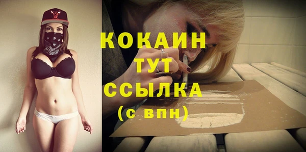 соль курить ск Няндома