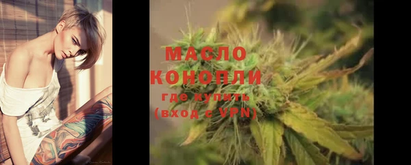 гидра Осинники